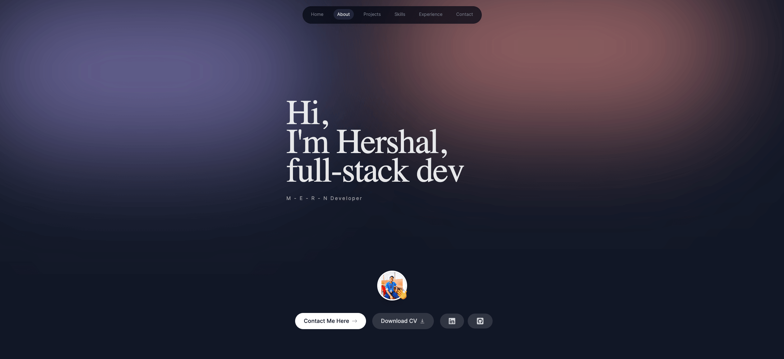 Developer Portfolio
